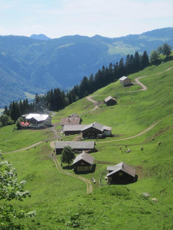 Apart Greber Andelsbuch Exterior foto